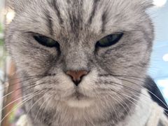 -共舞时光猫咖·狗咖(新街口店)