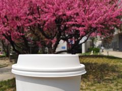 -星巴克(北辰西路店)