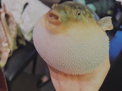 -永安鱼庄·镇江菜(东吴路店)