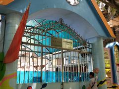 -广州市荔湾区育星和平幼儿园