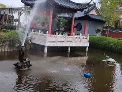 -葛仙湖公园