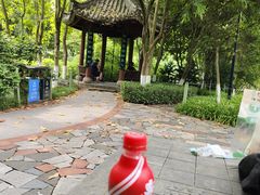 -龙头寺公园