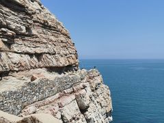 -长岛大黑山岛