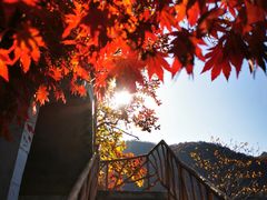 -丹东凤凰山景区
