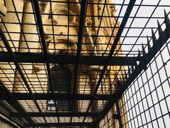 -斯蒂芬主教座堂(Stephansdom)