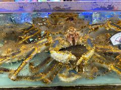 -青石桥市场北1-27号