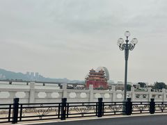 -野狸岛
