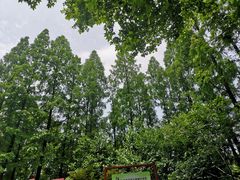 -徐家汇源景区-衡山公园