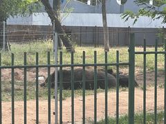 -秦皇岛野生动物园