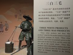 -余姚博物馆