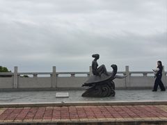 -广东惠东海龟国家级自然保护区