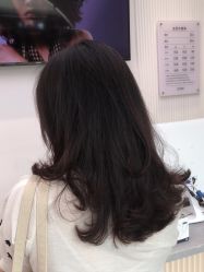 -YESIDO椰岛造型