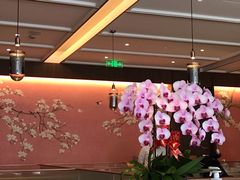 大堂-神仙馆(衡山路店)