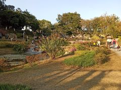 -东莞植物园