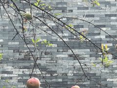 -广州神农草堂中医药博物馆