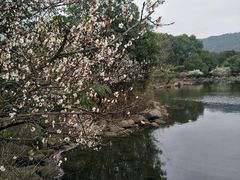 -白马涧龙池景区