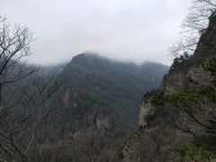 -牛背梁国家森林公园