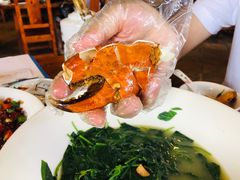 -顺德了能馆(虎门店)