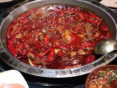 -渝大狮毛肚老火锅(普陀店)