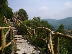 -铜川市金锁关石林