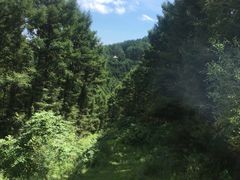 -玉泉威虎山森林公园