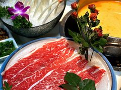 -喜聚薈·花膠雞海鮮火鍋(越秀店)