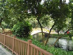-晓港公园