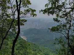 -阳台山森林公园