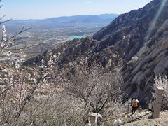 -北京凤凰岭