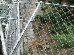 -石家庄市动物园