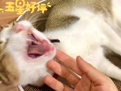 -深圳佑诺口腔门诊部