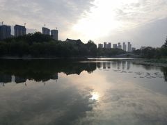 -月湖风景区