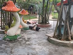 -恒大世纪梦幻城