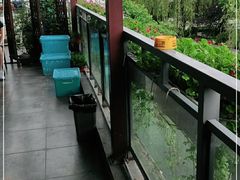 -吴越荣记苏州菜·松鼠桂鱼100%活鱼现做(斜塘老街店)