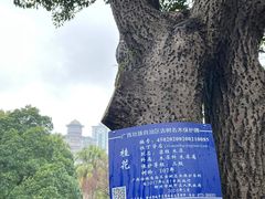 -柳侯公园