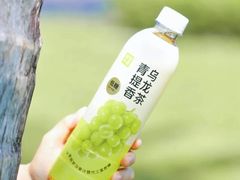 青提香乌龙茶-奈雪的茶(湖滨银泰in77C区PRO店)