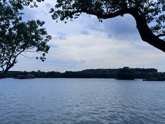 -魏铭鱼头捞饭(晋阳路店)