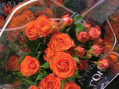 -循礼门鲜花花市(武汉循礼门店)