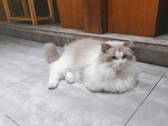 -花间小酌火锅小酒馆(吕四店)