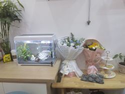 -丝域养发馆