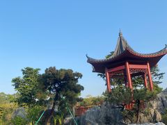 -东莞植物园