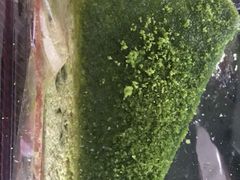 -中粮丰通（北京)食品有限公司