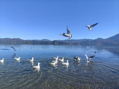 -丽江泸沽湖景区
