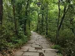 -杭州半山国家森林公园