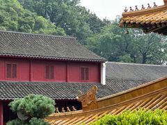 -普陀山慧济禅寺