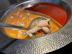 -麻田会 ·鲜活现烹·牛蛙火锅(珠江新城维家思广场店)