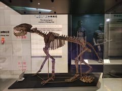 -北京周口店北京人遗址博物馆