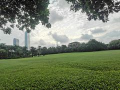 -荔香公园