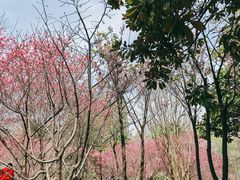 -堤角公园