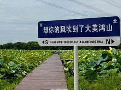 -梁鸿国家湿地公园